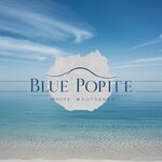 Blue Pointe Wealth Management Logo - Entry #480