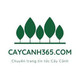 caycanh365