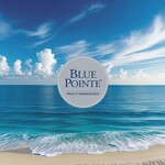 Blue Pointe Wealth Management Logo - Entry #554