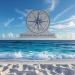 Blue Pointe Wealth Management Logo - Entry #744
