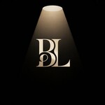 BRIGHT LENS or BRIGHT LENS STUDIO Logo - Entry #357